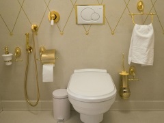 Torneira de duche higiénica