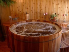 Totul despre băile de saună cu un încălzitor