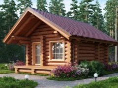 Ce material este cel mai bun pentru construirea unei saune?