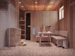 Particularități ale băilor cu o cameră de aburi și o chiuvetă 