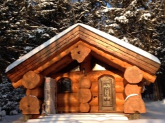 Totul despre cedru pentru saune