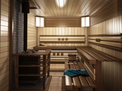 Totul despre camerele de aburi