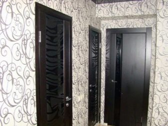 Stikla ieliktņi plastmasas vannas istabas un tualetes durvīm