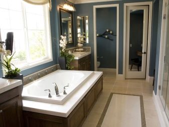 Plastmasas vannas istabas durvis ar lielu stiklu