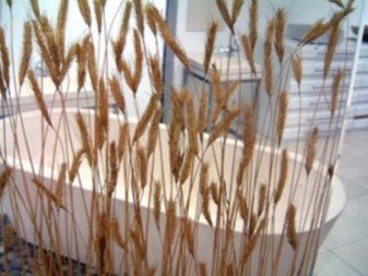 Écran de bain décoratif au sol