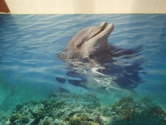 Badkamervloeren in twee delen