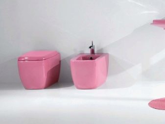 Aanbevelingen voor de keuze van een bidet