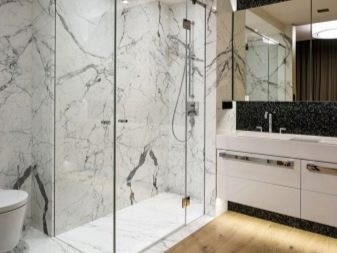 Γυάλινα χωρίσματα για μπάνια