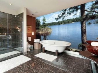 Fototapete za kopalnico, ki jih je mogoče oprati