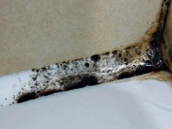 Los peligros del moho en el baño