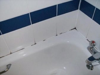 Formas de eliminar el moho en el sellado del baño