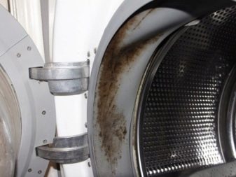 Schmutz auf dem Gummifaltenbalg der Waschmaschine