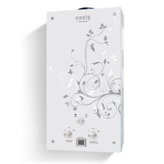 Chauffe-eau à gaz avec photo