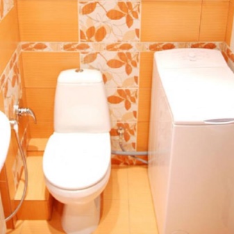 kitsas pesumasin siseruumides