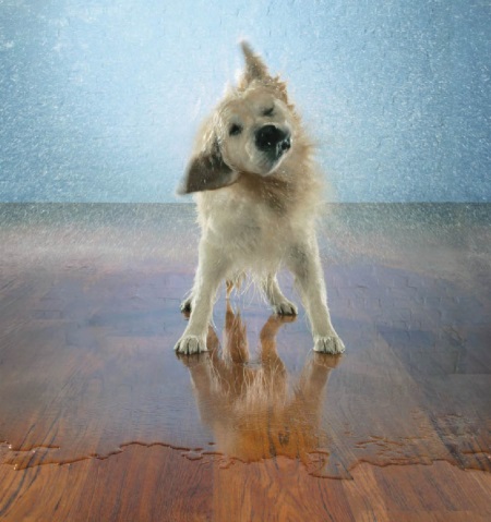 Water resistant laminate flooring