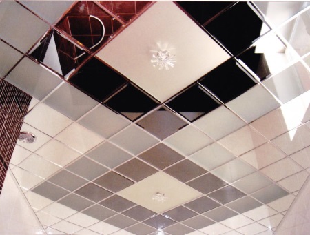 Full bathroom mirror ceiling