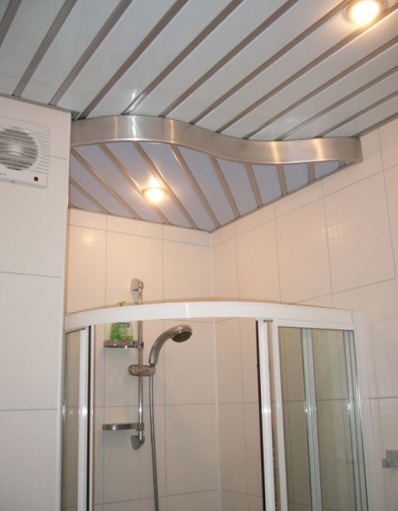 Плъхове на тавана в банята