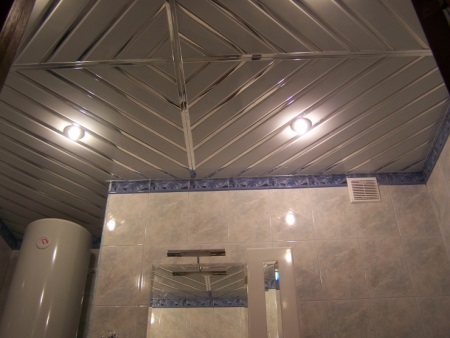 Сребърен таван с плъхове в банята