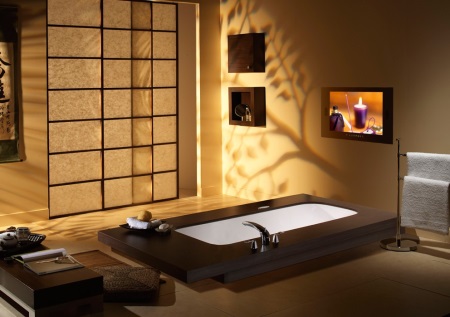 TV i det japanska badrummet.