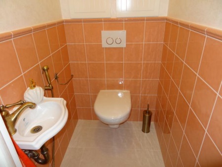 Corner wash basin for the toilet with a hygienic shower