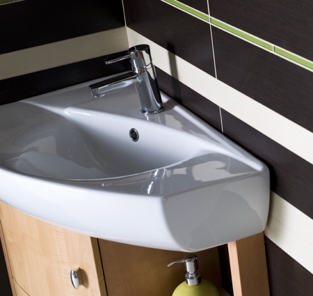 Asymmetric wash basin