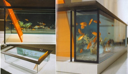 Banho de aquário