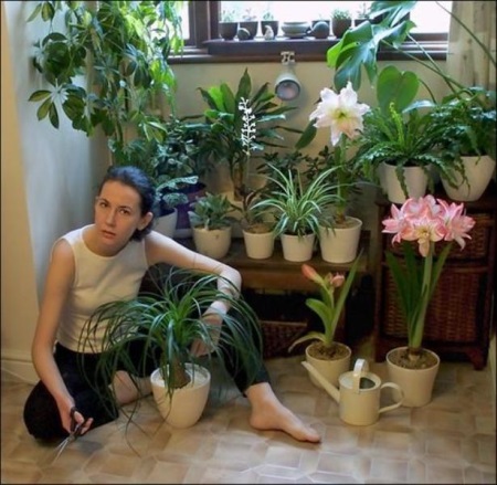 Îngrijire la domiciliu