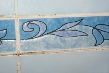 Гъбички по плочките