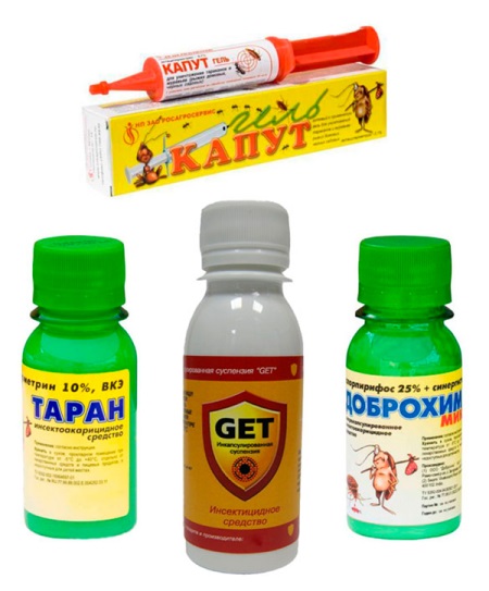 Remedies voor kakkerlakkenbestrijding