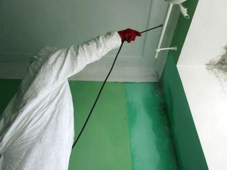 Professionele ongediertebestrijding