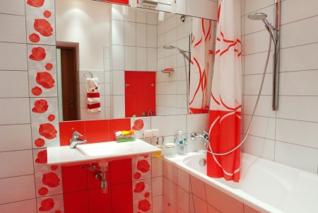 Cada de baie decorată după renovare