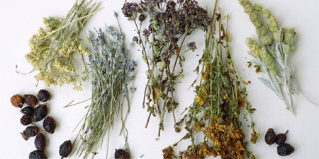 Sušené bylinky do koupele