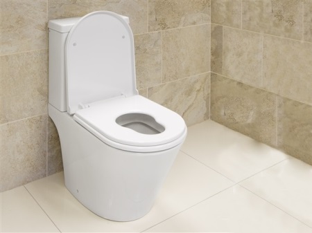 Το παραδοσιακό παιδικό κάθισμα WC