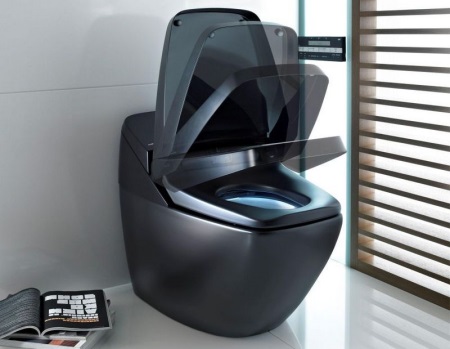 Funktioner hos elektroniska toaletter