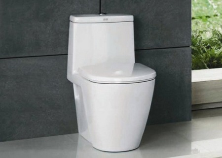 Funktioner hos den monoblocka toalettskålen