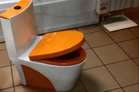 Monobloc-wc med mikrolyft