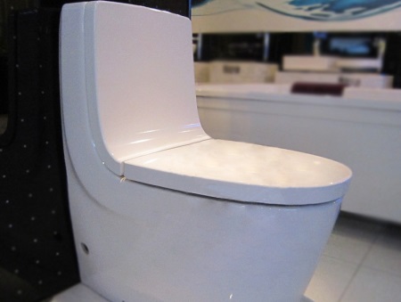 Nackdelar med monoblocktoaletter