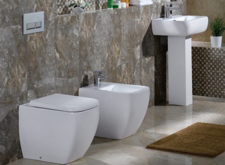 Paslėpto klozeto bakelio ypatybės