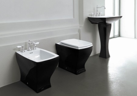 Грижа за черната тоалетна