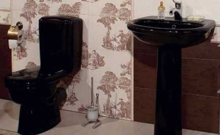 Недостатъците на черните тоалетни чинии