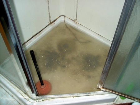 Mantenimiento y cuidado del sifón de la ducha 