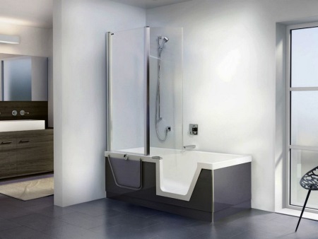 Bathtub with shower and glass shower partition