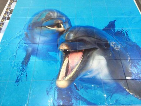 3D fotó csempe delfinekkel a fürdőszobában - gyártás
