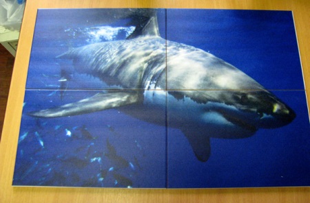 3D fotó csempe cápával a fürdőszobában